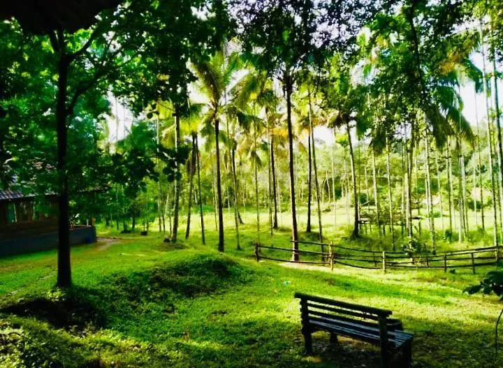 Royal Wooden Villa Mananthavady Accommodatie bij particulieren